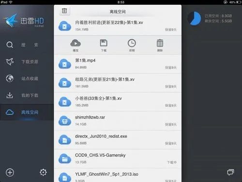 手機(jī)迅雷最好用的版本,標(biāo)準(zhǔn)化流程評(píng)估_超值版_v8.980