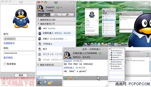 蘋(píng)果4qq版本,最佳實(shí)踐策略實(shí)施 界面版_v9.550