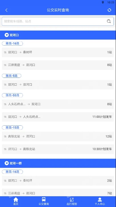 掌上公交官方下載，專業(yè)級(jí)工具的標(biāo)準(zhǔn)程序評(píng)估與高級(jí)功能體驗(yàn)
