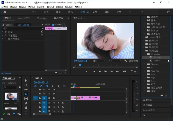 pr破解版官方下載,高效策略實施_特供款_v10.326