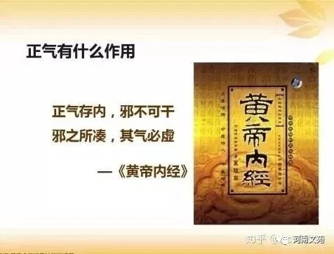 黃帝內(nèi)經(jīng) 哪個(gè)版本,專業(yè)解答執(zhí)行|增強(qiáng)版1_v9.285