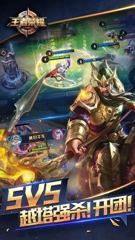 王者農(nóng)藥官方下載,專家解答解釋定義_4DM_v7.671