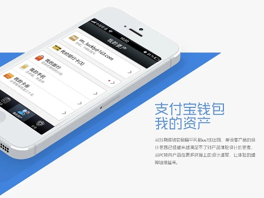 支付寶錢包 官方下載,安全性計(jì)劃解析|2D_v7.541