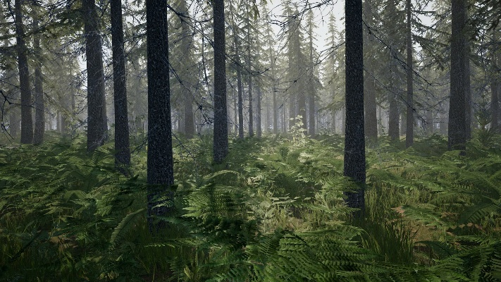 森林新版本,實效設(shè)計計劃解析&amp;Executive1_v3.154