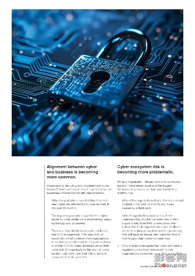 太極熊貓最新版本下載，網(wǎng)絡(luò)安全顧問的專業(yè)解讀與評(píng)估